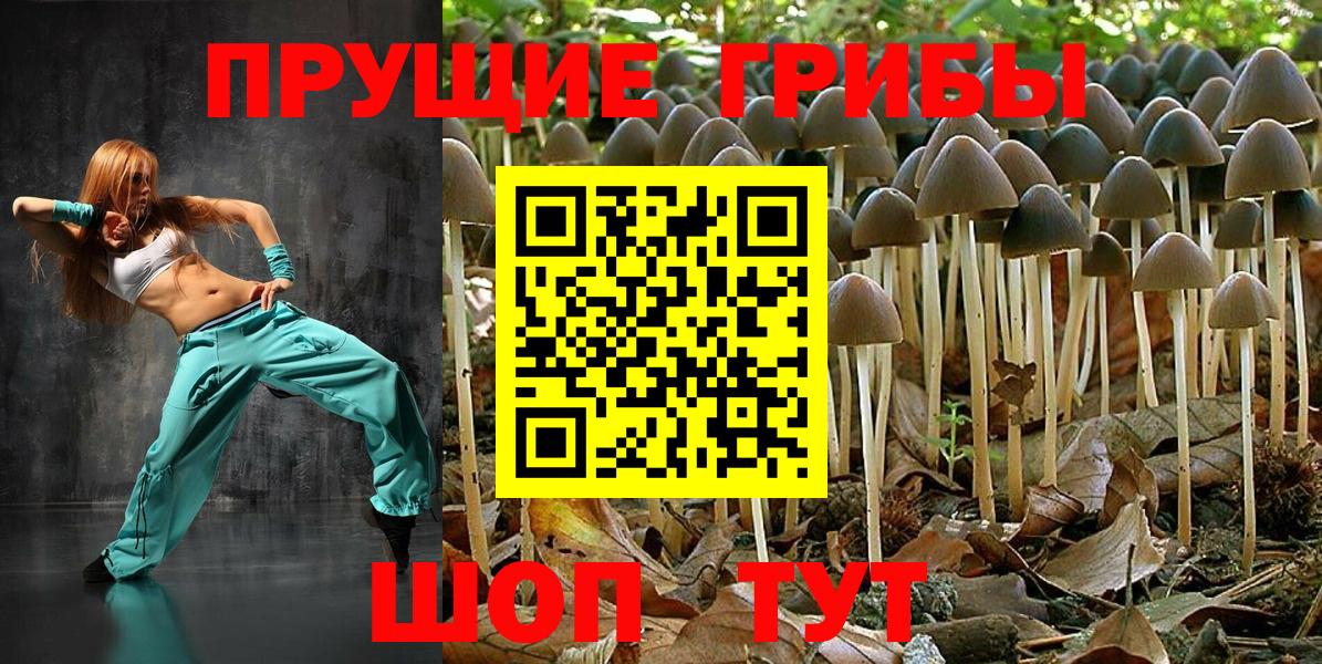Галлюциногенные грибы ЛСД Мичуринск