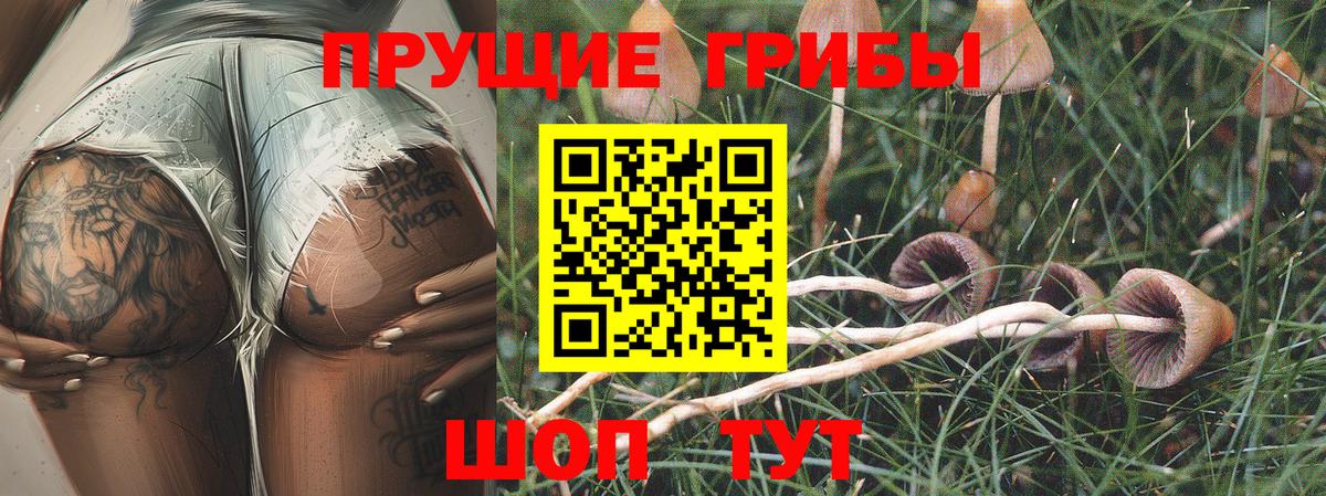 Псилоцибиновые грибы прущие грибы  наркошоп  Вход с VPN  Мичуринск  Галлюциногенные грибы прущие грибы 